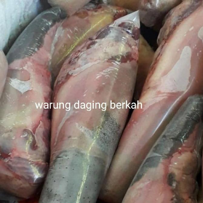 NEW lidah sapi lokal fresh
