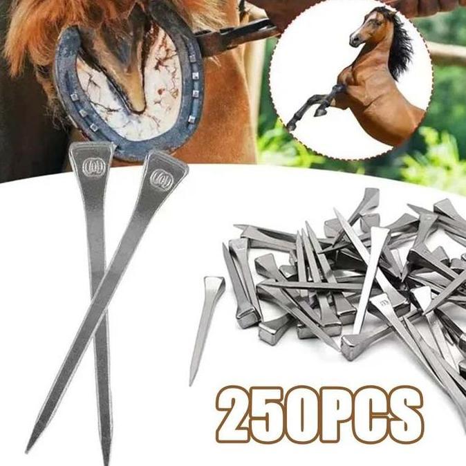 250 Pcs E3 Paku Kuda Stainless Steel Paku Sepatu Tapal Kuda Pacu Hingga Tunggang Paku Sepatu Kuda Pa