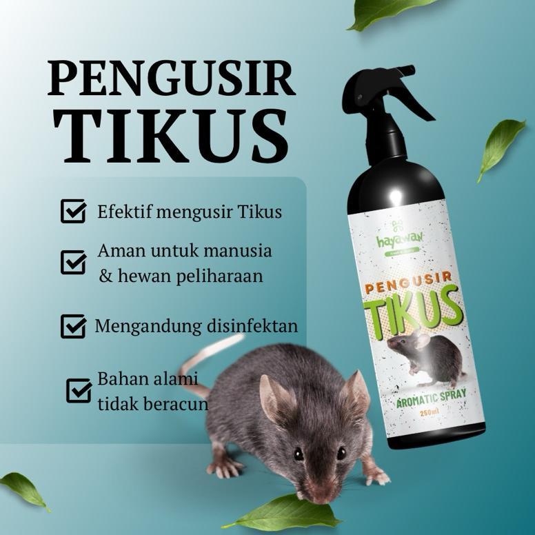SPRAY PENGUSIR TIKUS | PEMBASMI TIKUS | OBAT PENGUSIR TIKUS RUMAH & MOBIL | SEMPROTAN ANTI RODENT RE