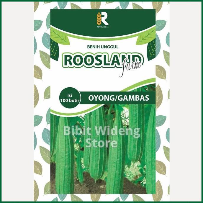 Parque - ( 100 Benih ) Sayur Oyong | Gambas | Emes Panjang | Bibit Gambas Oyong