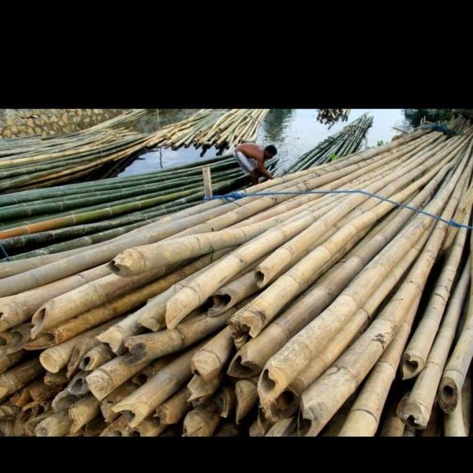 Parque - Bambu  Panjang  6 Meter R