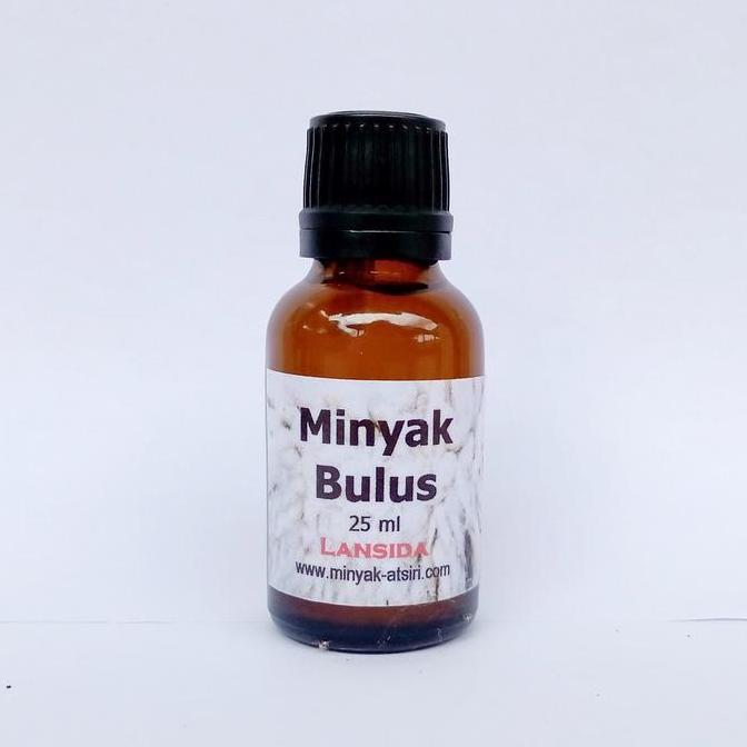 Minyak Bulus Asli Murni - Minyak Kura-kura
