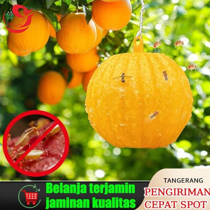 CALYEUM Bulat perangkap lalat buah(Yellow Trap Likat Kuning)