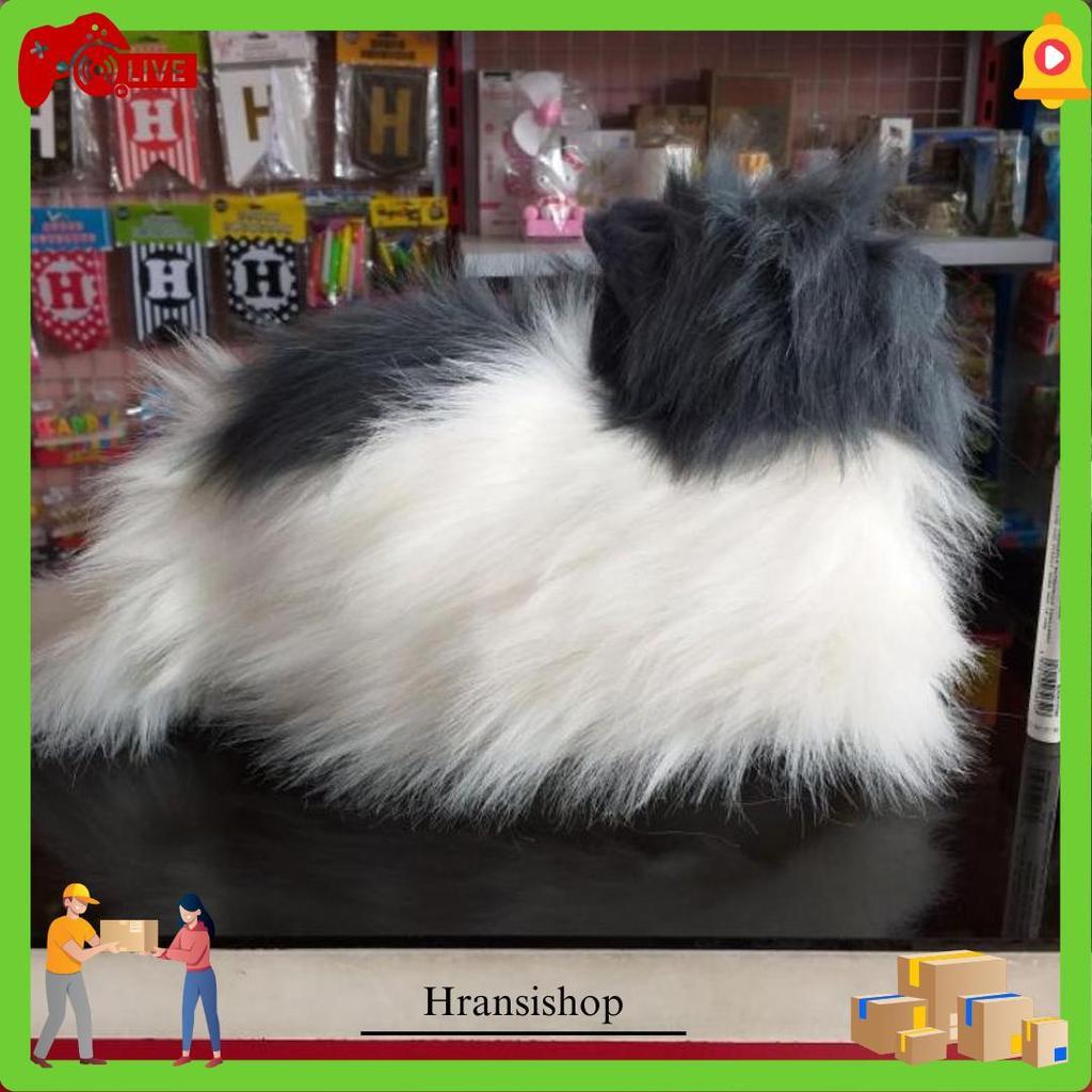 Boneka Kucing Persia Anggora Free Sisir Produk Favorit