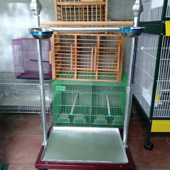 Tangkringan Burung Nuri Kakatua