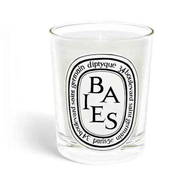 Diptyque Paris Candle FEU DE BOIS Baies ori