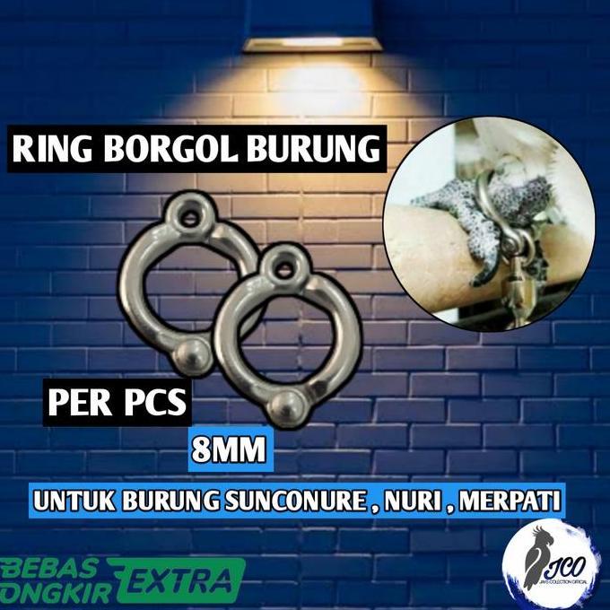RING BORGOL 8MM RING BORGOL BURUNG SUNCONURE NURI RING KAKI BURUNG murah