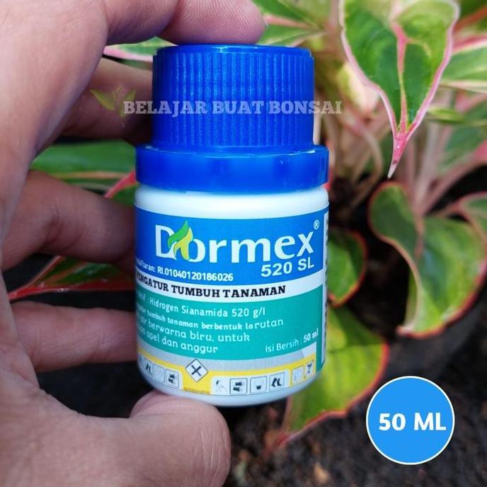 Park- Dormex 520Sl Hidrogen Sianamida Zpt Apel Anggur Germany