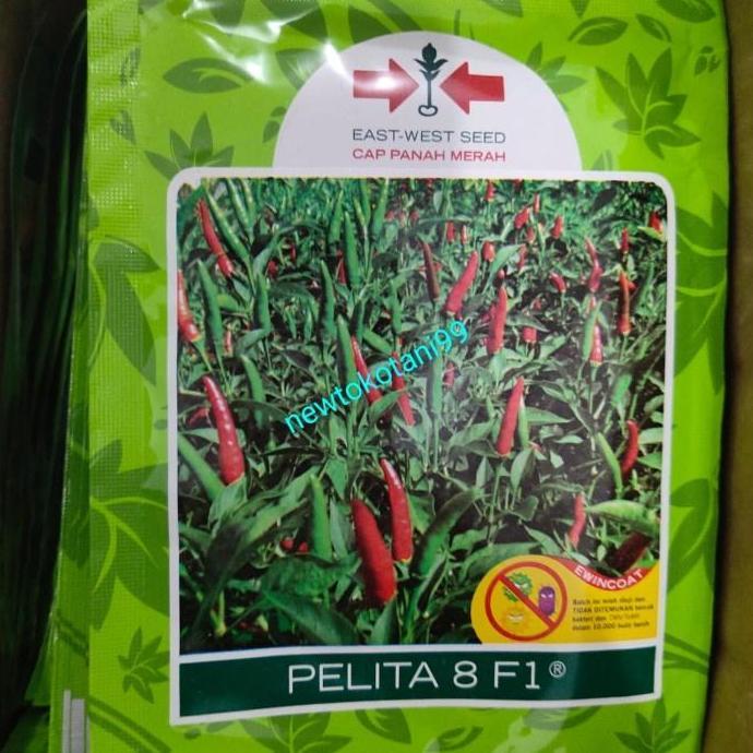 benih cabe PELITA 8 F1 2250 butir cabai rawit hijau dari panah merah