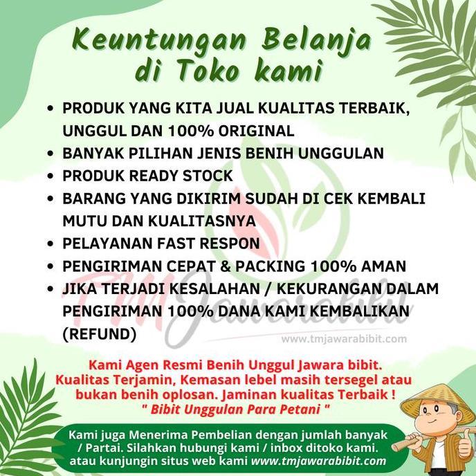 ISI 20 GRAM BIBIT SEMANGKA IDOLA F1 ( non biji ) PRODUK ASLI JAWARA IRF