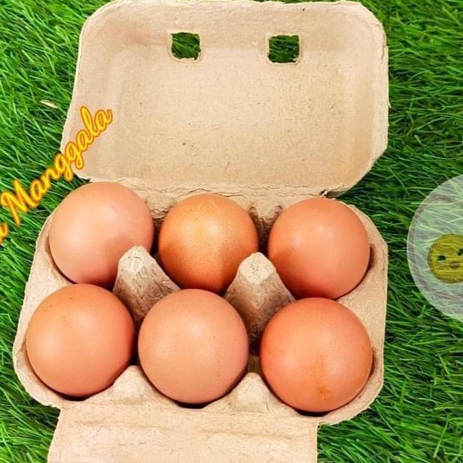 Cibo- Paper Egg 6 Lubang / Box Telur Karton 50 Pcs