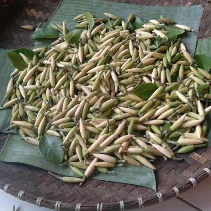 Fiore- Kembang Teleng Bunga Melati Kenanga Kantil Putih