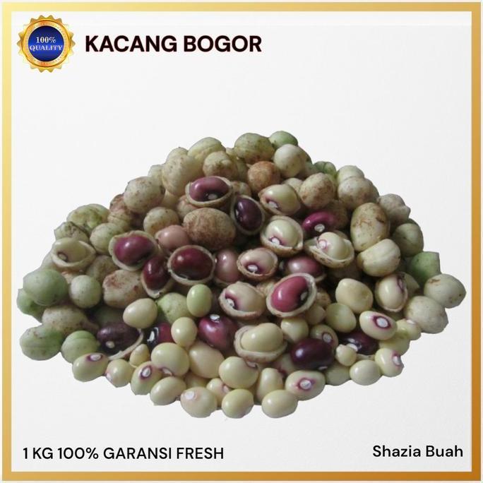 BEST SELLER Kacang Bogor Mentah / Kacang Bogor Super / 1Kg