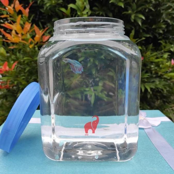 Toples Plastik Kotak Ikan Cupang 3 Liter Tebal