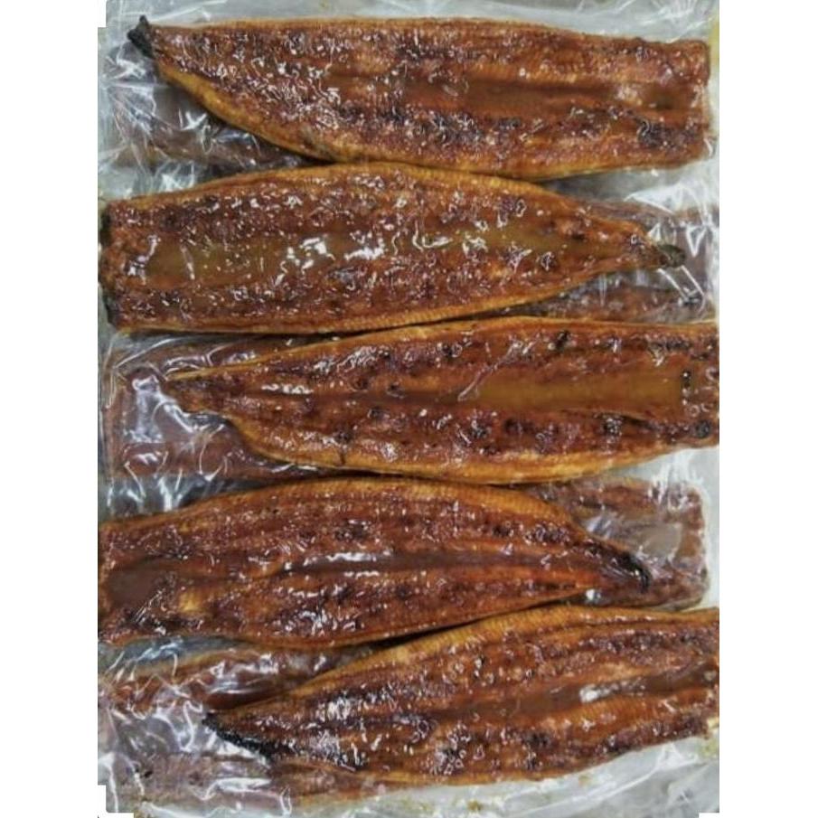 unagi kabayaki ikan sidat jepang premium frozen