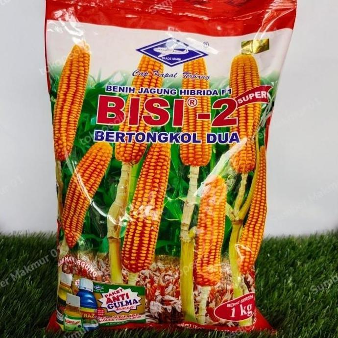BENIH JAGUNG SUPER HIBRIDA BISI 2 BERTONGKOL 2