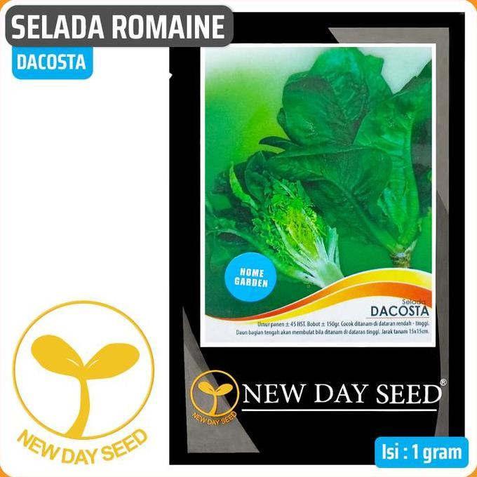 Selada Romaine DACOSTA, 1 gr | New Day Seed