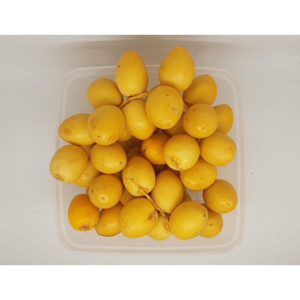 Terlaris READY Kurma muda promil fresh free test pack ruthob/kurma muda merah kuning hijau
