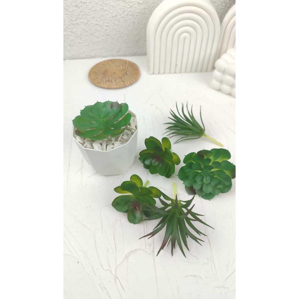NEW PRODUCT Sukulen Plastik - Kaktus Plastik Artificial - Tanaman Kaktus Hias -Tanaman Hias Terrariu