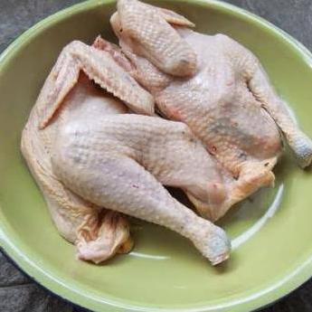 Ayam Kampung Fresh Organik (Berat Hidup 700 Gram) Kode 1093