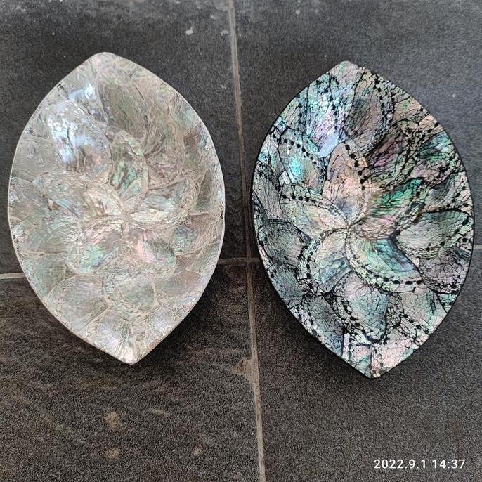 /////] shell bowl abalone / mangkok kerang abalone DELAPAN