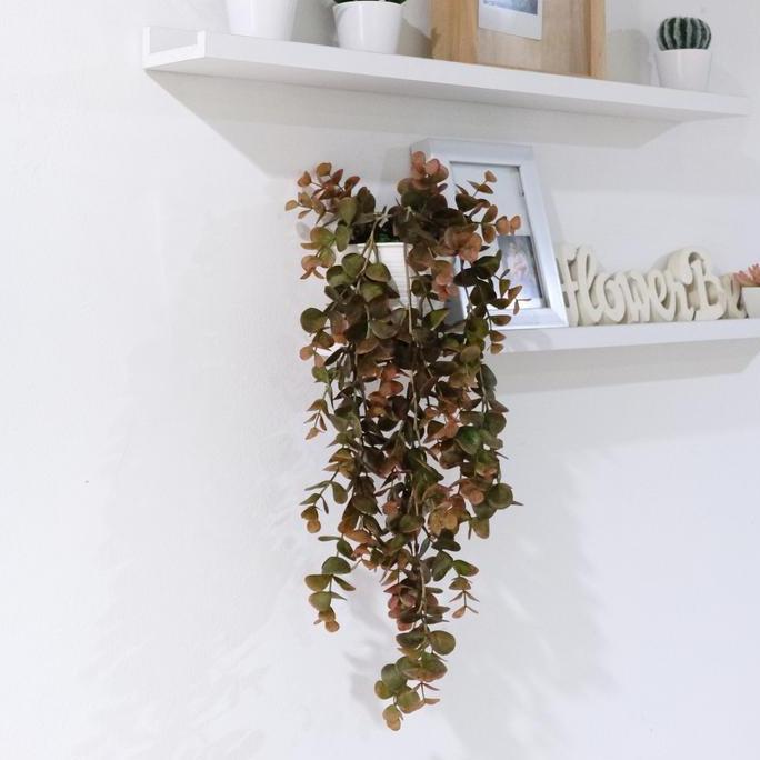 Tanaman Gantung Plastik Eucalyptus