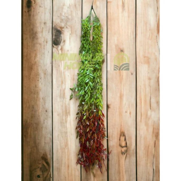 Daun Lee Kwan Yew Juntai Daun Tirai Rambat Artificial Hoya Costa Janda Merana Dekorasi Dinding Monst