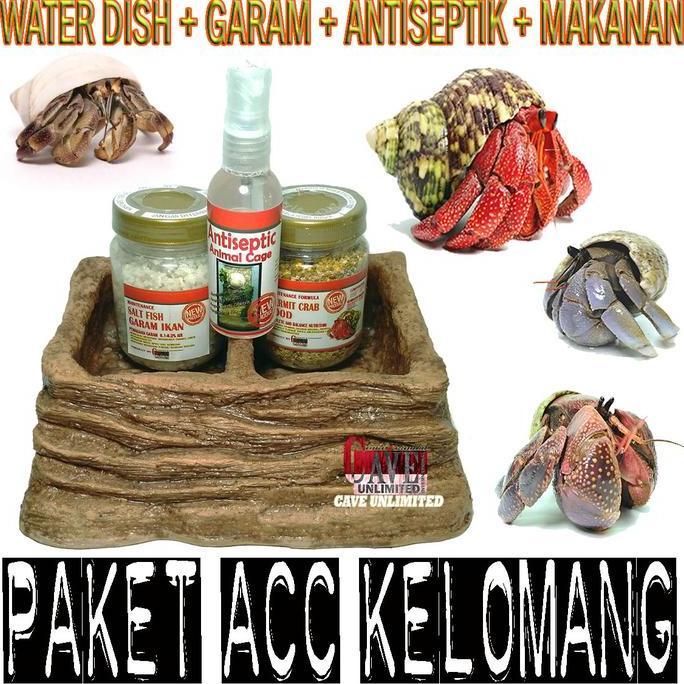 PAKET PERLENGKAPAN PERAWATAN KELOMANG UMANG KEONG DARAT PANTAI MURAH