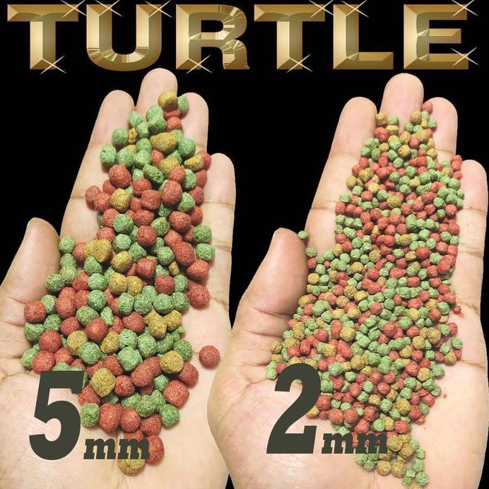 500GR KURA BRAZIL RES BRASIL RAZOR ALIGATOR DAMER DAMPUT MONBI CST AST AMBON TERRAPINS MAKANAN KURA 