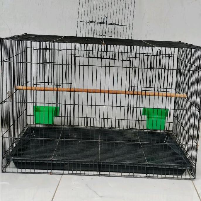 Sangkar Kandang Umbaran burung  Size Large L 60x40cm Ekonomis Fullset Free 2 Cepuk Plus Tatakan Tang
