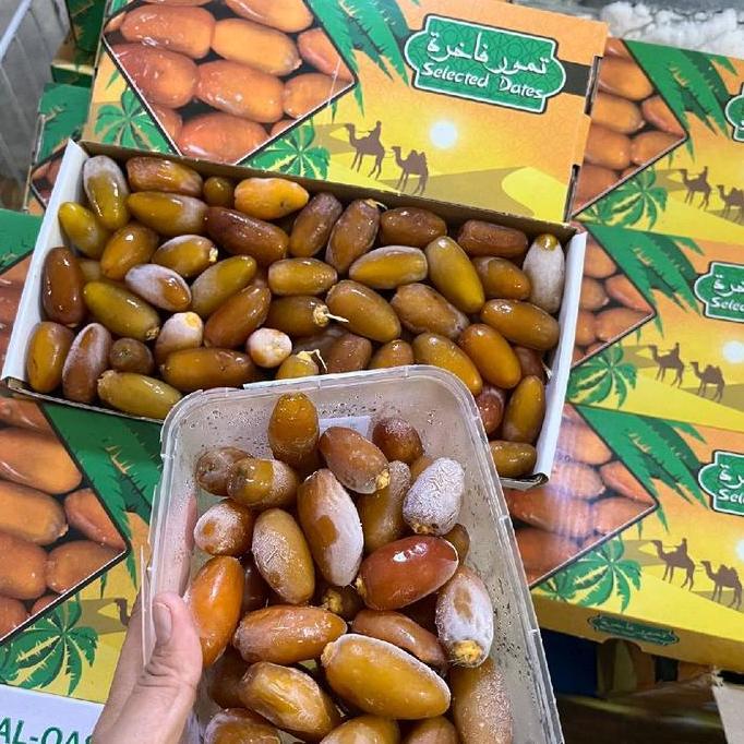 Kurma Muda Ruthob Libya Fresh Lembut Kaya Nutrisi Tahan 6 Bulan di Freezer Manfaat untuk Kesehatan T