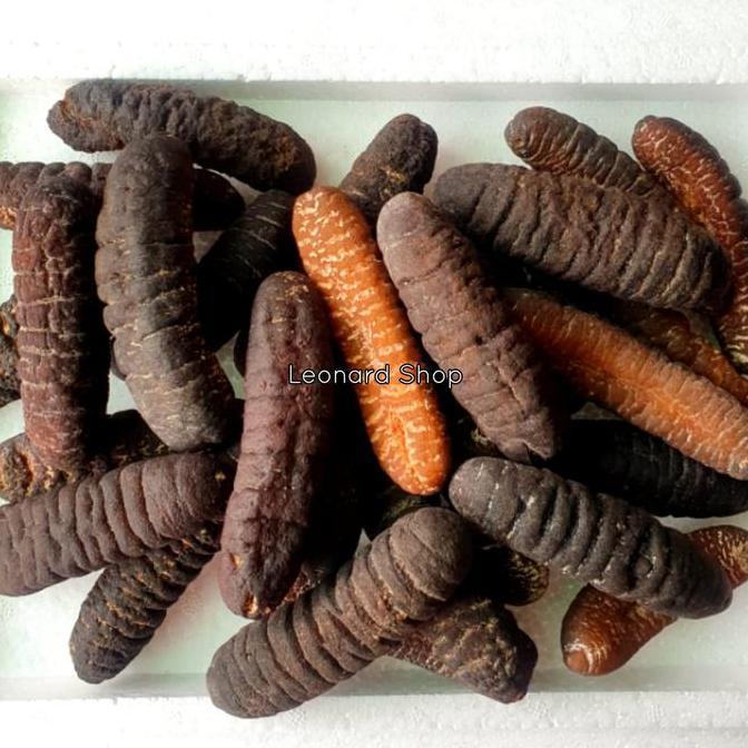 HAISOM BESAR SUPER 100GRAM BANGKA BELITUNG KERING TERIPANG GOSOK GAMAT