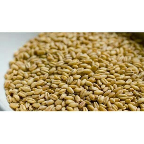 Beras GANDUM 1kg import MAROKO