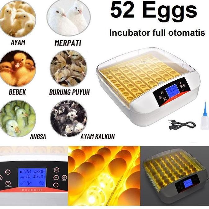 Inkubator Mesin Penetas Telur otomatis burung ayam merak punyuh unggas