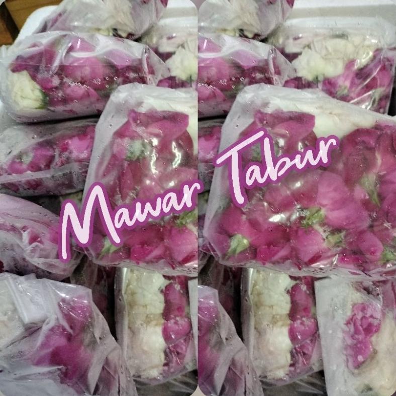 bunga mawar wangi mawar tabur kampung mawar pink harum segar