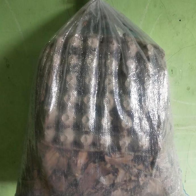 jangkrik alam hidup 1kg