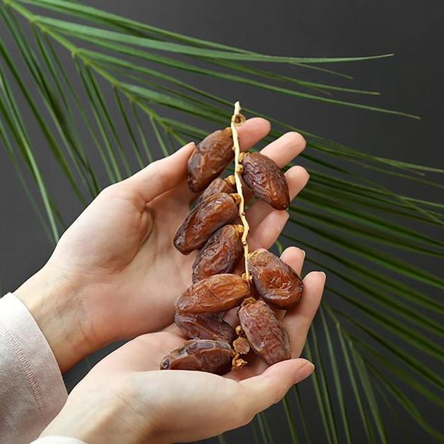 Termurah / Hot Sale Buah Kurma Tunisia Tangkai