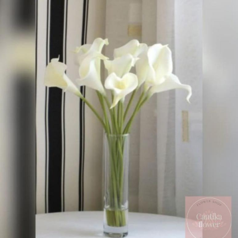 bunga Calla Lily putih asli fresh cantik per 5 tangkai