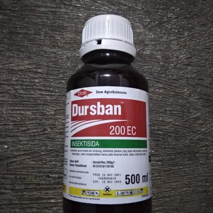 DURSBAN 200EC INSEKTISIDA 500 ML