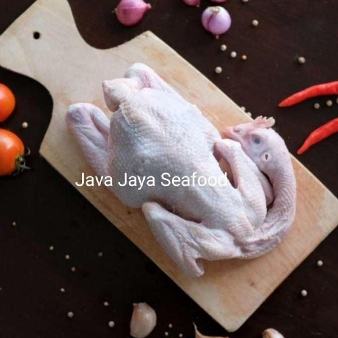 Ayam Pejantan / Ayam Panggang / Ayam Kampung