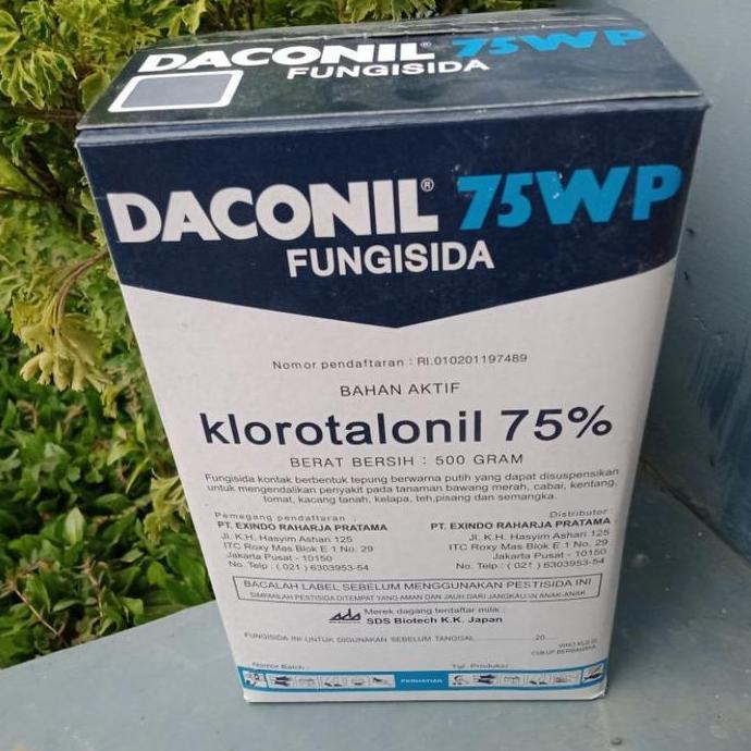 DACONIL 75WP 500gr - Fungisida