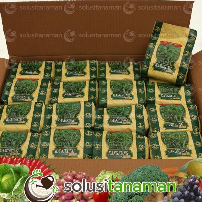 Kangkung Lebar @500g Biji Benih Sayuran Bibit Sayur Tanaman Hidroponik