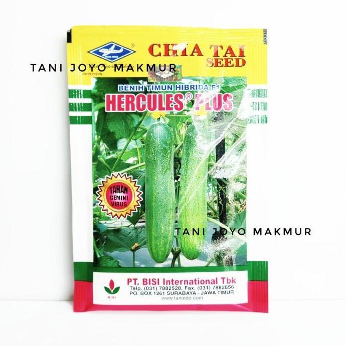 Benih Timun Hibrida Hercules Plus (20 gr)