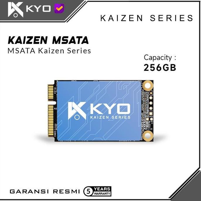 Hozon- Ssd Kyo Kaizen Msata 256Gb Ssd M.Sata