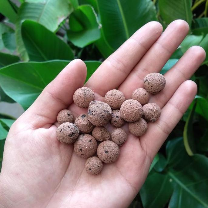 Parkx- Hydroton / Hidroton / Hydroton Clay Balls / Media Tanam Hidroton