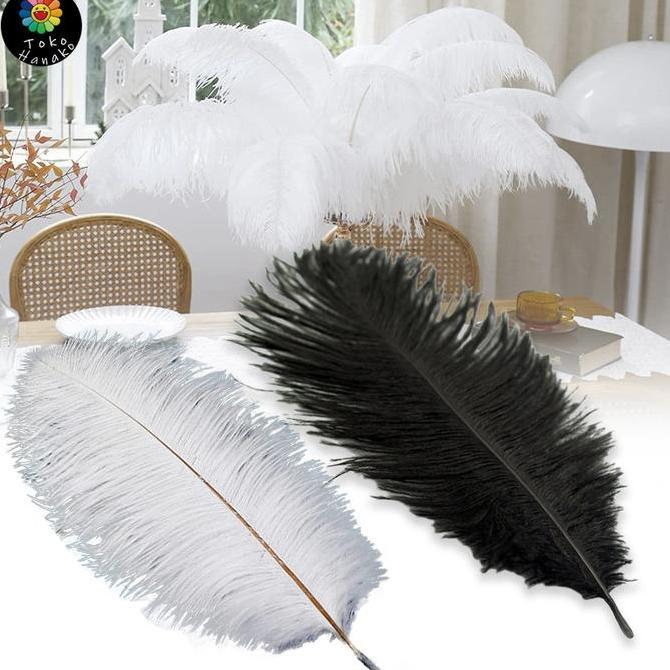 RPG Bulu Ostrich  35-45cm Ostrich Feather 100% bulu burung ostrich asli
