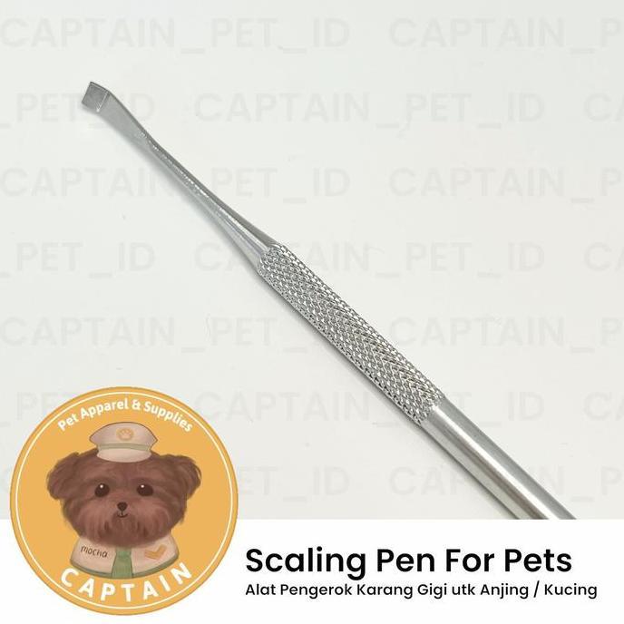 SCALING PEN PENGEROK PEMBERSIH KARANG GIGI ANJING KUCING