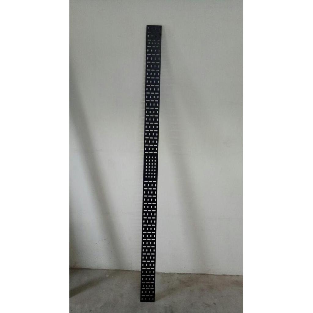 Cable Tray / Vertical Cable Management 42U