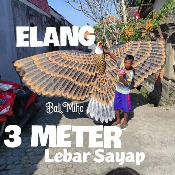 MJ042 LAYANGAN BURUNG KAIN LAYANGAN ELANG 3 METER LAYANGAN 3 DIMENSI