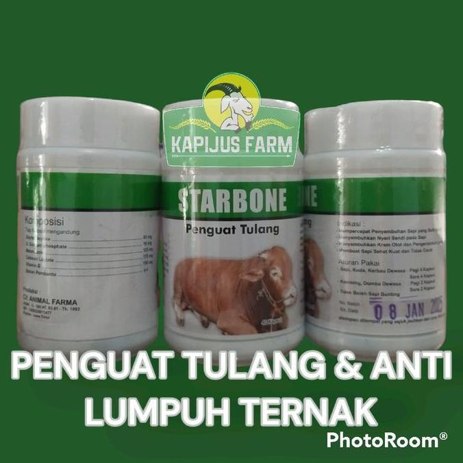 Starbone Obat Ambruk Sapi Kambing Domba Penguat Tulang & Anti Lumpuh Ternak